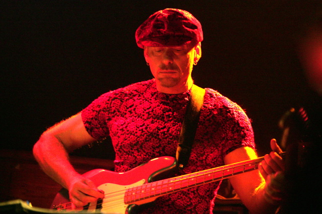 scottfree-1.jpg
